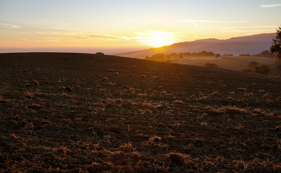 sunset over farm