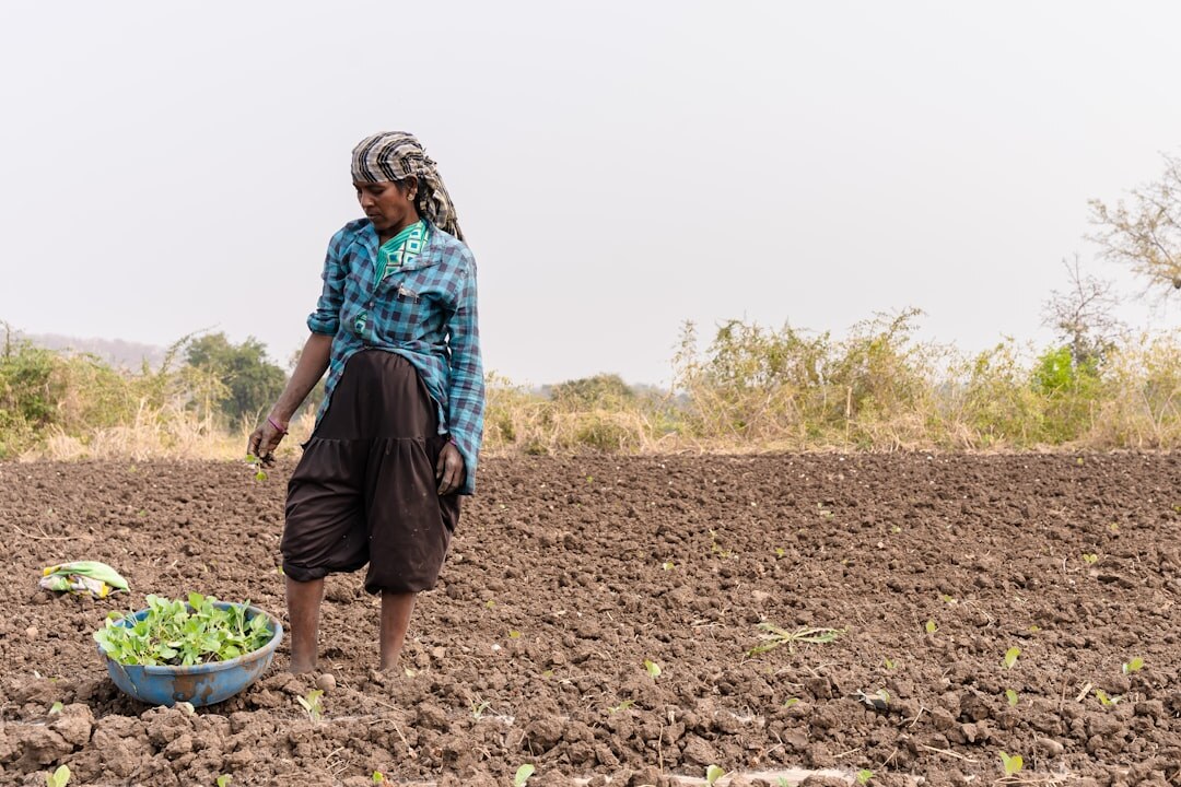 woman farming in field